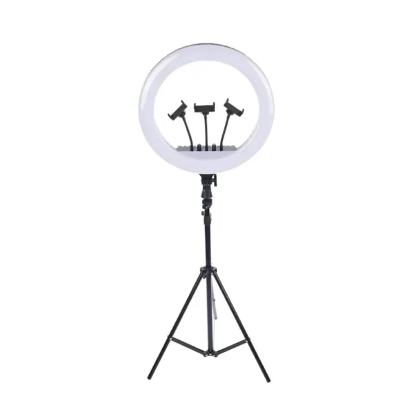 22 Inch LED Ring Light Lamp 100W, with 75 Tripod Stand