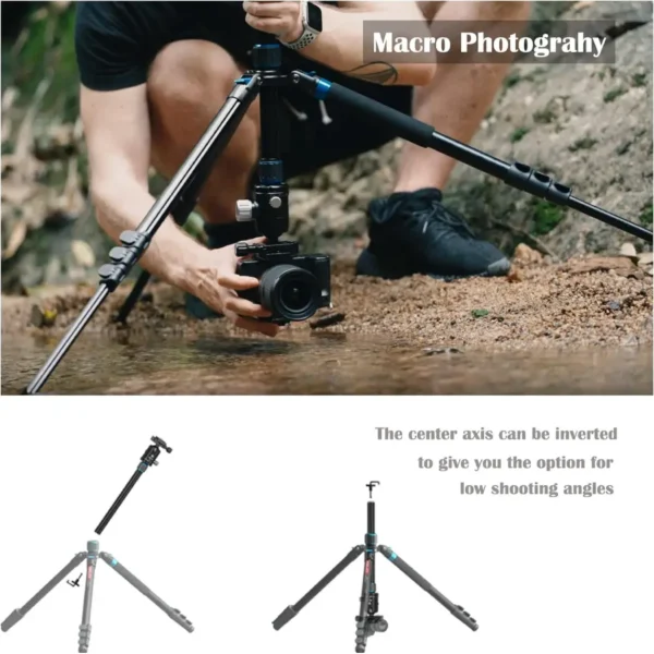 76 Inch KINGJOY Tripod for Cameras, Compact Camera Tripods & Monopods for DSLR